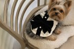 Elegant Yorkie Dress