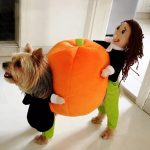 Halloween Yorkie Costume