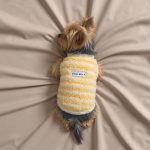 handmade yorkie sweater