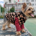 Luxury Double-Sided Yorkie Vest