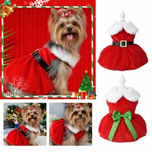 New Year and Christmas Yorkie Clothes