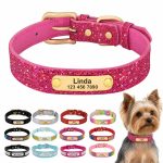 Personalized Yorkie Collar