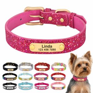 Personalized Yorkie Collar