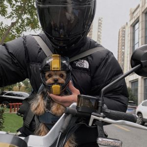 Small Dog Motorcycle Helmet