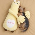 Yorkie sleeping in the arms of the yellow bear patting pillow