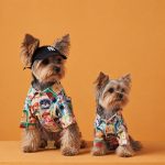 Summer Casual Yorkie Shirt