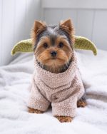 Yoda ZOO Yorkie Hat