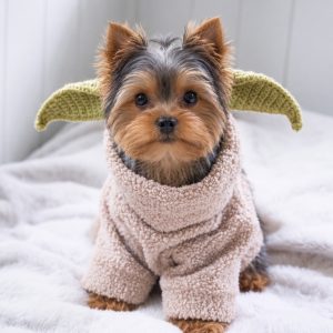 Yoda ZOO Yorkie Hat