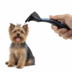 Yorkie Dog Brush