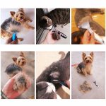 Yorkie Dog Brush