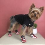 yorkies gram swoosh dog shoes for walking