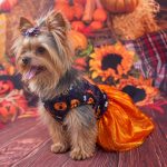 Yorkie Halloween Costume Dress