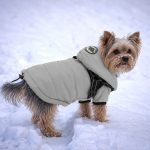 Yorkie Winter Harness Jacket